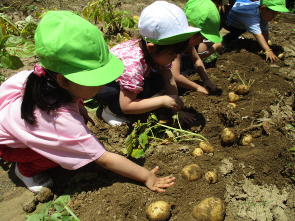 土と保育に求めていること