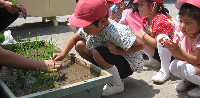 当園の教育について