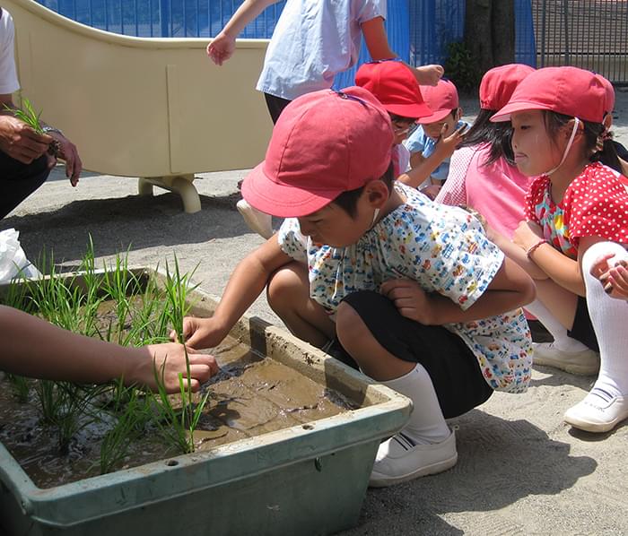 当園の教育について